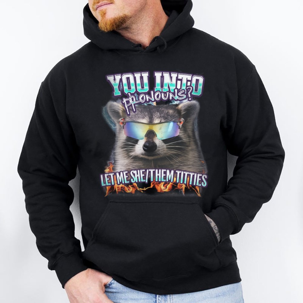 Stylish Pronouns 28 Hoodie T Shirt
