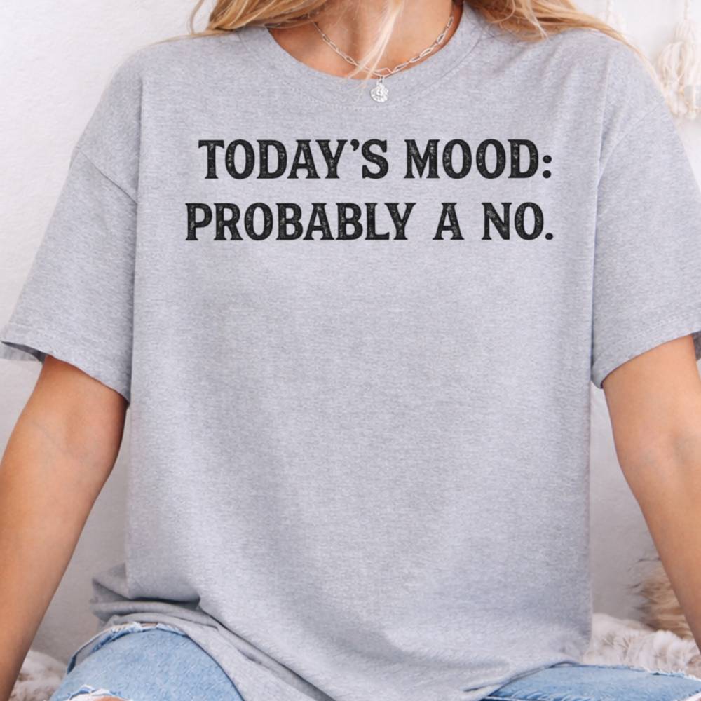 Today S Mood Probably A No Inappropriate Shirts For Introverts 5